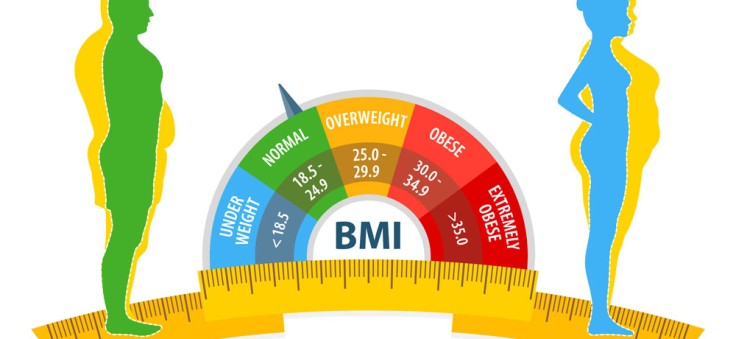 Alles, was Sie über den Body Mass Index (BMI) wissen müssen